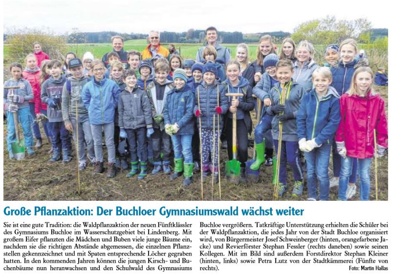 Buchloer Gymnasiumswald wächst weiter